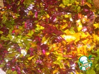 ���������� ����� �� ���� �����������