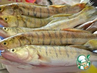 �������� ���� �����������