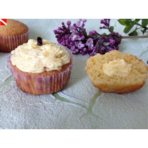 ������������ �����