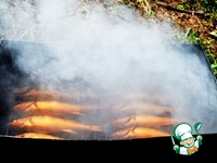 �������� ���� �����������