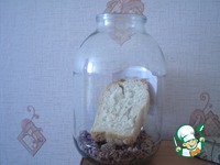 ���� �������, �������� �����������