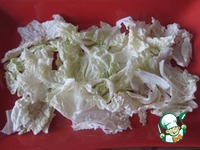 �������� ������� ������ ��� �����-�������� ������ �����������