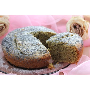 ���������� ����� "��������� ������"