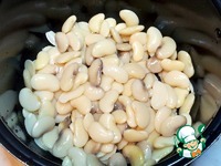 ����� ������ � ��������� �����������