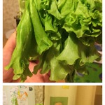 ��� ������������� ������� �����