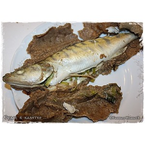 ����� � �������