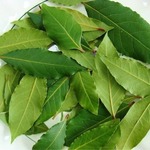 �������� ����