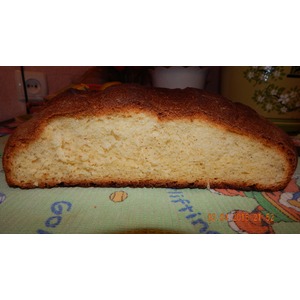 ���� ���������