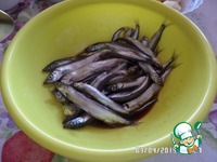 ,    &quot;  ,   &quot; 