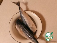 ������� �������� �����������