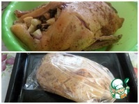 ������������ ���� � �������� �����������