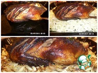 ������������ ���� � �������� �����������