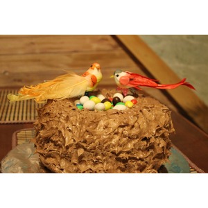 ���� "������ ��������� ����"