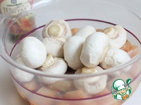 ������� �������� � ������������ �����������