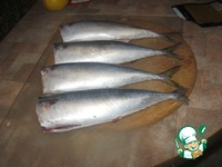 �������� � �������� �����������