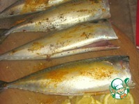 �������� � �������� �����������