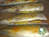 �������� � �������� �����������