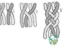 ���������� ���������� ���� "����������� �������" �����������