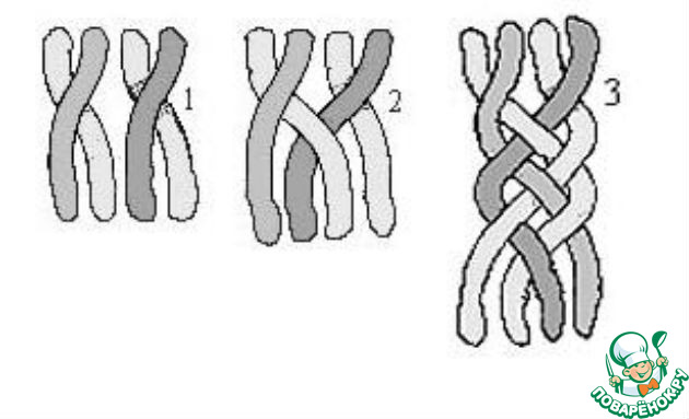 Схема плетения четырехпрядной косы. Колосок из 4 прядей схема плетения. Как заплести косичку из 4 прядей. Четырехпрядная коса схема плетения. Как плести косу из 4 прядей.