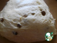 ����� "�������������" �����������