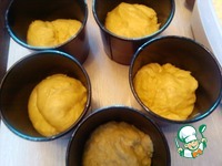 ����� ��������-������� �����������