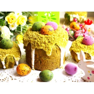 �������� ������ "����������� ���������"