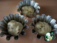 ������������ ���������� ����� �����������