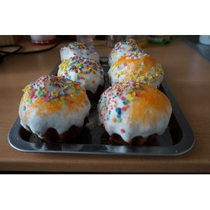 ������������ ���������� �����