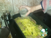 ������ ������ � ���������� ��-�������� �����������