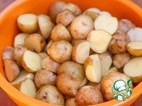 ���� ������� � ������������ ������ �����������