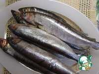 ������ �������� �����������