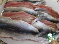 ������ �������� �����������