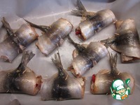 ������ �������� �����������