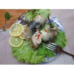 ������ ��������