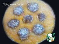 ����� � ��������-�������� ����� � �������� �����������