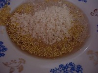 ���� �������� "������" �����������