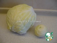 ������� � �������� "��������" �����������