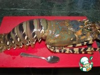 ������� "��������" �����������