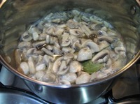 ������������ ���������� �����������