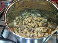 ������������ ���������� �����������