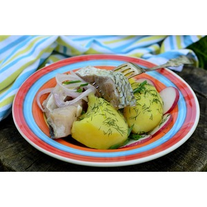 ������������ ����� ����