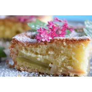 ������� ����� �� ������