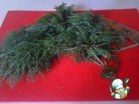 �������� � ���������� � ������� �������� �����������