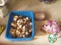 �������� � ������� � ��������� ����� �����������