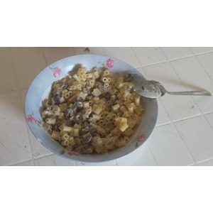 �������� � ������� � ��������� �����