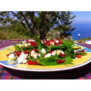 ����� �� ��������, �������� � �����