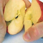 ��� ��������� ������ ������� ������