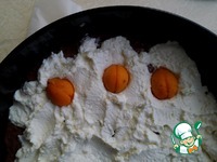 ����� ���������-��������� � ���������� �����������