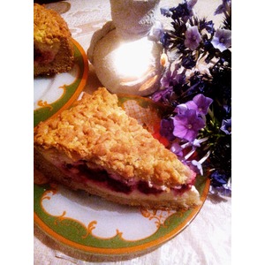 �������� ����� "��������-��������� ������������"