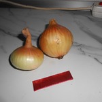 �������� � ������ �� ����� ����� ����